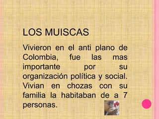    LOS MUISCASVivieron en el anti plano de Colombia, fue las mas importante por su organización política y social. Vivian en chozas con su familia la habitaban de a 7 personas. 