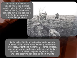 Los selk’nam tuvieron un trágico final. Tras cientos, quizás miles de años de vida seminómada, hacia fines del siglo XIX la isla concitó el interés de las grandes compañías ganaderasLa introducción de las estancias ovejeras creó fuertes conflictos entre los nativos y los colonos europeos, Argentinos, Chilenos y loberos chilotes, que adquirió ribetes de guerra de exterminio. Las grandes compañías ovejeras llegaron a pagar una libra esterlina por cada selk'nam muerto