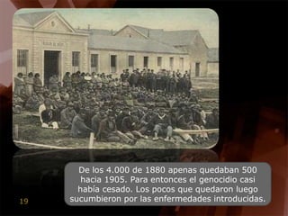 De los 4.000 de 1880 apenas quedaban 500 hacia 1905. Para entonces el genocidio casi había cesado. Los pocos que quedaron luego sucumbieron por las enfermedades introducidas.