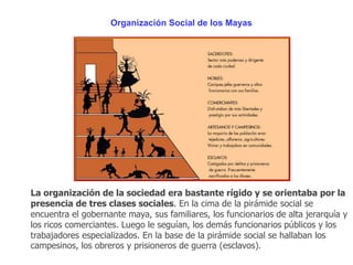 Organización Social de los Mayas 
La organización de la sociedad era bastante rígido y se orientaba por la 
presencia de tres clases sociales. En la cima de la pirámide social se 
encuentra el gobernante maya, sus familiares, los funcionarios de alta jerarquía y 
los ricos comerciantes. Luego le seguían, los demás funcionarios públicos y los 
trabajadores especializados. En la base de la pirámide social se hallaban los 
campesinos, los obreros y prisioneros de guerra (esclavos). 
 