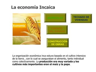 La economía Incaica 
AGRÍCOLAS 
CUIDADO 
DEL GANADO 
CONSTRUCCIÓN 
DE OBRAS 
TECHADO DE 
VIVIENDAS 
La organización económica inca estuvo basada en el cultivo intensivo 
de la tierra , con lo cual se aseguraban el alimento, tanto individual 
como colectivamente. La producción era muy variada y los 
cultivos más importantes eran el maíz y la papa. 
 