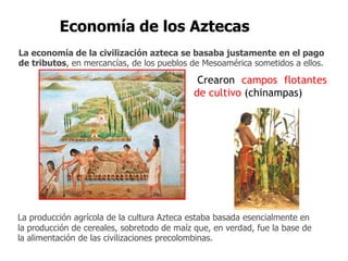 Economía de los Aztecas 
La economía de la civilización azteca se basaba justamente en el pago 
de tributos, en mercancías, de los pueblos de Mesoamérica sometidos a ellos. 
Crearon campos flotantes 
de cultivo (chinampas) 
La producción agrícola de la cultura Azteca estaba basada esencialmente en 
la producción de cereales, sobretodo de maíz que, en verdad, fue la base de 
la alimentación de las civilizaciones precolombinas. 
 