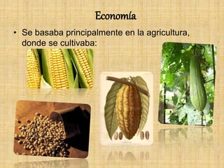 Economía
• Se basaba principalmente en la agricultura,
donde se cultivaba:
 
