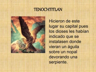 TENOCHTITLAN
Hicieron de este
lugar su capital pues
los dioses les habían
indicado que se
instalasen donde
vieran un águila
sobre un nopal
devorando una
serpiente.
 