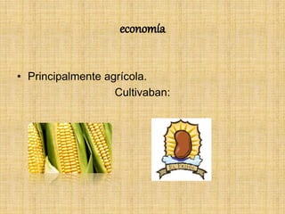 economía
• Principalmente agrícola.
Cultivaban:
 