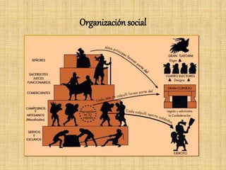 Organización social
 