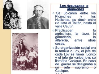 Se organizaban en ayllus, por ser parte del Imperio Inca.