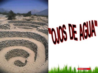 IMAGEN FINAL
 