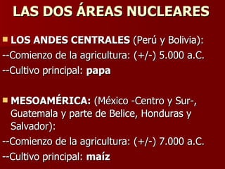LAS DOS ÁREAS NUCLEARES LOS ANDES CENTRALES  (Perú y Bolivia): --Comienzo de la agricultura: (+/-) 5.000 a.C.  --Cultivo principal:  papa MESOAMÉRICA:  (México -Centro y Sur-, Guatemala y parte de Belice, Honduras y Salvador):  --Comienzo de la agricultura: (+/-) 7.000 a.C.  --Cultivo principal:  maíz 