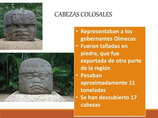 CABEZAS COLOSALES
• Representaban a los
gobernantes Olmecas
• Fueron talladas en
piedra, que fue
exportada de otra parte
de la región
• Pesaban
aproximadamente 11
toneladas
• Se han descubierto 17
cabezas
 