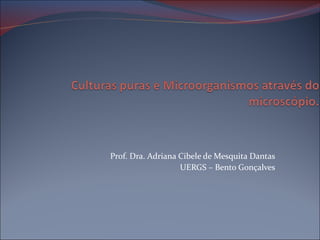 Prof. Dra. Adriana Cibele de Mesquita Dantas
                   UERGS – Bento Gonçalves
 