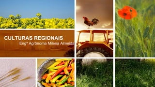 CULTURAS REGIONAIS
Engª Agrônoma Milena Almeida
 