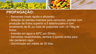 PROPAGAÇÃO:
• - Sementes (mais rápida e eficiente);
- Seleção de plantas-matrizes para sementes: plantas com
produção de frutos superior a 5 latas/touceira e com
rendimento de 8L ou mais de polpa/lata com 14-15kg de
frutos.
- Imersão em água a 40ºC por 20min;
- Sementes recalcitrantes, semear o quanto antes para
não perderem vigor;
- Germinação em média de 30 dias.
 