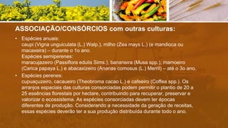 ASSOCIAÇÃO/CONSÓRCIOS com outras culturas:
• Espécies anuais:
caupi (Vigna unguiculata (L.) Walp.), milho (Zea mays L.) (e mandioca ou
macaxeira) – durante o 1o ano.
Espécies semiperenes:
maracujazeiro (Passiflora edulis Sims.), bananeira (Musa spp.), mamoeiro
(Carica papaya L.) e abacaxizeiro (Ananas comosus (L.) Merril) – até o 3o ano.
• Espécies perenes:
cupuaçuzeiro, cacaueiro (Theobroma cacao L.) e cafeeiro (Coffea spp.). Os
arranjos espaciais das culturas consorciadas podem permitir o plantio de 20 a
25 essências florestais por hectare, contribuindo para recuperar, preservar e
valorizar o ecossistema. As espécies consorciadas devem ter épocas
diferentes de produção. Considerando a necessidade da geração de receitas,
essas espécies deverão ter a sua produção distribuída durante todo o ano.
 