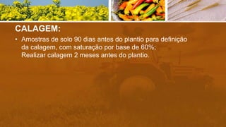 CALAGEM:
• Amostras de solo 90 dias antes do plantio para definição
da calagem, com saturação por base de 60%;
Realizar calagem 2 meses antes do plantio.
 