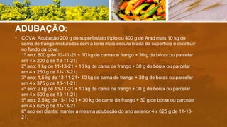 ADUBAÇÃO:
• COVA: Adubação 200 g de superfosfato triplo ou 400 g de Arad mais 10 kg de
cama de frango misturados com a terra mais escura tirada da superfície e distribuir
no fundo da cova.
1º ano: 800 g de 13-11-21 + 10 kg de cama de frango + 30 g de bórax ou parcelar
em 4 x 200 g de 13-11-21;
2º ano: 1 kg de 11-13-21 + 10 kg de cama de frango + 30 g de bórax ou parcelar
em 4 x 250 g de 11-13-21;
3º ano: 1,5 kg de 13-11-21+ 10 kg de cama de frango + 30 g de bórax ou parcelar
em 4 x 375 g de 13-11-21;
4º ano: 2 kg de 13-11-21 + 10 kg de cama de frango + 30 g de bórax ou parcelar
em 4 x 500 g de 13-11-21;
5º ano: 2,5 kg de 13-11-21 + 30 kg de cama de frango + 30 g de bórax ou parcelar
em 4 x 625 g de 11-13-21
6º ano em diante: manter a mesma adubação do ano anterior 4 x 625 g de 11-13-
21.
 
