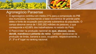 Agronegócio Paraense
• O agronegócio contribui em média 21% para a composição do PIB
dos municípios, representando a base econômica de grande parte
deles e fonte de ocupação para parcela substantiva da população. O
campo absorve cerca de 1.500.292 milhões de pessoas, o que
corresponde e 42,68% dos trabalhadores no estado do Pará.
• O Pará é líder na produção nacional de açaí, abacaxi, cacau,
dendê, mandioca e pimenta do reino. Também destaca-se na
produção de limão, banana e coco, ocupando, respectivamente, o
2º, 3º e 4º lugar no ranking nacional.
 