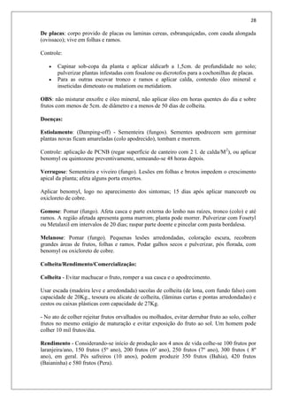 28
De placas: corpo provido de placas ou laminas cereas, esbranquiçadas, com cauda alongada
(ovissaco); vive em folhas e ramos.
Controle:
 Capinar sob-copa da planta e aplicar aldicarb a 1,5cm. de profundidade no solo;
pulverizar plantas infestadas com fosalone ou dicrotofos para a cochonilhas de placas.
 Para as outras escovar tronco e ramos e aplicar calda, contendo óleo mineral e
inseticidas dimetoato ou malatiom ou metidatiom.
OBS: não misturar enxofre e óleo mineral, não aplicar óleo em horas quentes do dia e sobre
frutos com menos de 5cm. de diâmetro e a menos de 50 dias de colheita.
Doenças:
Estiolamento: (Damping-off) - Sementeira (fungos). Sementes apodrecem sem germinar
plantas novas ficam amareladas (colo apodrecido), tombam e morrem.
Controle: aplicação de PCNB (regar superfície de canteiro com 2 l. de calda/M2
), ou aplicar
benomyl ou quintozene preventivamente, semeando-se 48 horas depois.
Verrugose: Sementeira e viveiro (fungo). Lesões em folhas e brotos impedem o crescimento
apical da planta; afeta alguns porta enxertos.
Aplicar benomyl, logo no aparecimento dos sintomas; 15 dias após aplicar mancozeb ou
oxicloreto de cobre.
Gomose: Pomar (fungo). Afeta casca e parte externa do lenho nas raízes, tronco (colo) e até
ramos. A região afetada apresenta goma marrom; planta pode morrer. Pulverizar com Fosetyl
ou Metalaxil em intervalos de 20 dias; raspar parte doente e pincelar com pasta bordalesa.
Melanose: Pomar (fungo). Pequenas lesões arredondadas, coloração escura, recobrem
grandes áreas de frutos, folhas e ramos. Podar galhos secos e pulverizar, pós florada, com
benomyl ou oxicloreto de cobre.
Colheita/Rendimento/Comercialização:
Colheita - Evitar machucar o fruto, romper a sua casca e o apodrecimento.
Usar escada (madeira leve e arredondada) sacolas de colheita (de lona, com fundo falso) com
capacidade de 20Kg., tesoura ou alicate de colheita, (lâminas curtas e pontas arredondadas) e
cestos ou caixas plásticas com capacidade de 27Kg.
- No ato de colher rejeitar frutos orvalhados ou molhados, evitar derrubar fruto ao solo, colher
frutos no mesmo estágio de maturação e evitar exposição do fruto ao sol. Um homem pode
colher 10 mil frutos/dia.
Rendimento - Considerando-se início de produção aos 4 anos de vida colhe-se 100 frutos por
laranjeira/ano, 150 frutos (5º ano), 200 frutos (6º ano), 250 frutos (7º ano), 300 frutos ( 8º
ano), em geral. Pés safreiros (10 anos), podem produzir 350 frutos (Bahia), 420 frutos
(Baianinha) e 580 frutos (Pera).
 