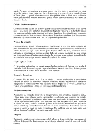 36
matriz. Portanto, recomenda-se selecionar plantas com bom aspecto nutricional; em plena
produção; precoces; com tronco reto; livres de sintomas de pragas e doenças; grande número
de folhas (30 a 35); grande número de cachos, bem apoiados sobre as folhas e com pedúnculo
curto; grande número de flores femininas; grande número de frutos (acima de 10) e frutos de
formato redondo.
Colheita dos frutos-sementes
Os frutos-sementes devem ser colhidos quando estiverem totalmente maduros, o que ocorre
após 11 a 12 meses após a abertura do cacho floral da planta. Não deve-se colher frutos caídos
por apresentarem baixo poder germinativo. O ponto de colheita é reconhecido pelo secamento
e coloração marrom do fruto, depois da ocorrência de perda acentuada de peso do fruto, que
passou de 2kg, quando verde, para 1,0 a 1,5 kg quando no ponto ideal.
Preparo das sementes
Os frutos-sementes após a colheita devem ser estocados ao ar livre e na sombra, durante 10
dias, para terminar o processo de maturação. Embora tenha alguns autores que recomendam o
entalhe do fruto, ou seja o corte de uma parte da casca fibrosa do fruto, visado aumentar a
hidratação e germinação da semente, existem dados de pesquisa mostrando que esta prática
não trouxe ganhos significativos na germinação das sementes, sendo portanto uma prática não
recomendada, uma vez que aumenta o custo de produção das mudas.
Implantação do viveiro
O viveiro deve ser instalado em área de topografia plana, próximo da fonte de água, em local
ventilado, de fácil acesso, longe de coqueirais velhos e doentes, além disso deve-se preferir
locais com solos de textura média a arenosa e bem drenados.
Dimensões do canteiro
O canteiro deve ter entre 1,0 e 1,5 m de largura, 15 cm de profundidade e comprimento
variável, em função do número de sementes e tamanho da área. Recomenda-se deixar um
espaço entre os canteiros de 0,5m para facilitar o trânsito de pessoas no viveiro. Além disso, o
viveiro deve ser instalado a pleno sol, sem necessidade de cobertura.
Posição das sementes
As sementes são colocadas no viveiro, na posição vertical, com a região de inserção no cacho,
voltada para cima. Alguns autores recomendam a colocação das sementes na posição
horizontal, entretanto, pesquisadores observaram que a utilização de sementes na posição
vertical, apresentaram vantagens, como: maior facilidade de transporte, redução do problema
de quebra de coleto, dispensa o entalhe, permite maior número de sementes/m², possibilita
melhor centralização da muda na cova, favorece um maior enraizamento da planta no campo e
permite o plantio da muda em maior profundidade. Um problema seria um maior gasto com
mão de obra para "equilibrar" a semente na posição vertical.
Irrigação
As sementes no viveiro necessitam de cerca de 6 a 7mm de água por dia, isto corresponde a 6
a 7 litros de água/m²/dia. Recomenda-se que a irrigação seja diária e em dois turnos, de manhã
e a tarde.
 