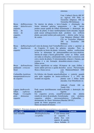 41
sintomas.
Usar: Carbaryl (Sevin 480 SC
ou Agrivin 850 PM) ou
Triclorfon (Dipterex 500 ou
Triclorfon 500 Defensa).
Broca do
estipe do
coqueiro,
broca do
tronco do
coqueiro,
rhina
Rhinostomus
barbirostris
No interior da planta, a larva
forma inúmeras galerias, que
podem causar quebra de folhas e
morte da planta. O dano também
pode causar enfraquecimento da
planta, que pode tombar pela ação
de ventos.
Catação e eliminação das
posturas e das larvas.
Eliminação e destruição das
plantas muito atacadas. Injeção
de produtos nos orifícios
recém - abertos pelas larvas.
Usar Malation (Malatol 1000
CE) ou Triclorfon (Dipterex
500 ou Triclorfon 500
Defensa).
Broca do
olho do
coqueiro
Rhynchophorus
palmarum
É vetor da doença Anel Vermelho
do Coqueiro. O inseto faz a
oviposição no broto da planta. As
larvas se alimentam da parte
interna do estipe e fazem galerias
em todas as direções, culminando
com a morte da planta. O sintoma
externo é a má formação de
folhas novas.
Deve-se cortar e queimar as
plantas atacadas. Para os
insetos adultos confeccionar
armadilhas com iscas atrativas.
Não cortar as folhas ainda
verdes; Evitar o consórcio com
mamão, abacaxi e banana, que
também atraem o inseto.
Broca do
pedúnculo
floral
Homalinotus
coriaceus
Sulcos superficiais no estipe. O
inseto adulto provoca a queda de
flores e frutos novos.
Limpeza da copa (folhas e
cachos secos). Pulverizações
com Malation(Malatol 1000
CE)
Cochonilha
transparente
do coqueiro
Aspidiotus
destructor
Os folíolos vão ficando amarelos
pela ação sugadora do inseto,
secando em seguida.
Realizar o controle quando
verificar-se 5 a 10% das
plantas com 3 folhas muito
atacadas, Usar Dimethoato ou
Aldicarb (Temik 100 ou
Temik 150).
Lagarta das
folhas
Brassolis
sophorae
Pode causar desfolhamento total
da planta
Localização e destruição das
lagartas
Pulgão
preto do
coqueiro
Cerataphis
lataniae
Em coqueiros jovens, causa
retardo do início de produção. Em
coqueiros adultos, provoca
abortamento de flores femininas,
queda de frutos pequenos e/ou
frutos em desenvolvimento.
Pulverização das plantas
infestadas com produtos
sistêmicos. Carbosulfan –
(Marshal 200 SC).
Tabela 2 - Principais doenças de importância econômica e seu controle.
Nome vulgar Nome cientifico Danos Controle
Anel vermelho Rhadinaphelenchus
cocophilus
É uma doença letal
ao coqueiro. A
planta fica com
aspecto de guarda-
chuva fechado. O
 
