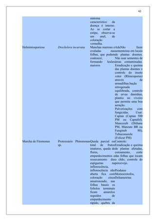 42
sintoma
característico da
doença é interno.
Ao se cortar a
estipe, observa-se
um anel, de
coloração
vermelha.
Helmintosporiose Drechslera incurvata Manchas marrons e
ovaladas nas
folhas, que podem
coalescer,
formando lesões
maiores
AduNão fazer
sementeiras em locais
de plantas doentes.
Não usar sementes de
áreas contaminadas.
Erradicação e queima
das plantas doentes e
controle do inseto
vetor (Rhincoporus)
através de
armadilhas.bação
nitrogenada
equilibrada, controle
de ervas daninhas,
plantio no viveiro
que permita uma boa
aeração.
Pulverizações com
fungicidas. Usar:
Captan (Captan 500
PM ou Captafol).
Mancozeb (Dithane
PM, Manzate BR ou
Fungineb 80),
Tebuconazole
(Folicur PM)
Murcha de Fitomonas Protozoário Phitomonas
sp.
Queda parcial ou
total de frutos
imaturos, queda de
flores,
empardecimentos e
ressecamento das
espiguetas na
inflorescência,
inflorescência não
aberta fica com
coloração cinza
amarronzado, nas
folhas basais os
folíolos terminais
ficam amarelos
seguidos de
empardecimento
rápido, quebra da
Controle:
Erradicação e queima
de plantas afetadas,
coroamento, corte
das folhas que tocam
o chão, controle do
percevejo.
Produtos
Momocrotofos,
Deltametrine
 