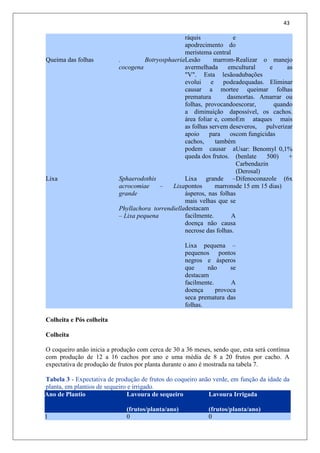 43
ráquis e
apodrecimento do
meristema central
Queima das folhas . Botryosphaeria
cocogena
Lesão marrom-
avermelhada em
"V". Esta lesão
evolui e pode
causar a morte
prematura das
folhas, provocando
a diminuição da
área foliar e, como
as folhas servem de
apoio para os
cachos, também
podem causar a
queda dos frutos.
Realizar o manejo
cultural e as
adubações
adequadas. Eliminar
e queimar folhas
mortas. Amarrar ou
escorar, quando
possível, os cachos.
Em ataques mais
severos, pulverizar
com fungicidas
Usar: Benomyl 0,1%
(benlate 500) +
Carbendazin
(Derosal)
Lixa Sphaerodothis
acrocomiae – Lixa
grande
Phyllachora torrendiella
– Lixa pequena
Lixa grande –
pontos marrons
ásperos, nas folhas
mais velhas que se
destacam
facilmente. A
doença não causa
necrose das folhas.
Lixa pequena –
pequenos pontos
negros e ásperos
que não se
destacam
facilmente. A
doença provoca
seca prematura das
folhas.
Difenoconazole (6x
de 15 em 15 dias)
Colheita e Pós colheita
Colheita
O coqueiro anão inicia a produção com cerca de 30 a 36 meses, sendo que, esta será contínua
com produção de 12 a 16 cachos por ano e uma média de 8 a 20 frutos por cacho. A
expectativa de produção de frutos por planta durante o ano é mostrada na tabela 7.
Tabela 3 - Expectativa de produção de frutos do coqueiro anão verde, em função da idade da
planta, em plantios de sequeiro e irrigado.
Ano de Plantio Lavoura de sequeiro
(frutos/planta/ano)
Lavoura Irrigada
(frutos/planta/ano)
1 0 0
 