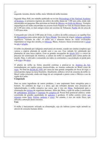 50
esquerda: teosinto, direita: milho, meio: híbrido de milho-teosinto
Segundo Mary Poll, em trabalho publicado na revista Proceedings of the National Academy
of Sciences, os primeiros registros do cultivo do milho datam de 7.300 anos atrás, tendo sido
encontrados em pequenas ilhas próximas ao litoral do México, no Golfo do México. Vestígios
arqueológicos de milho encontradas na caverna Guila Naquitz no Vale de Oaxaca datam cerca
de 6.250 anos atrás, os mais antigos restos em cavernas de Tehuacan, Puebla são de cerca de
5.450 anos atrás.
Começando por volta de 2.500 antes de Cristo, o cultivo de milho começou a se espalhar fora
da Mesoamérica para outras partes do Novo Mundo. Seu nome de origem indígena caribenha
significava "sustento da vida". O milho era o alimento básica de várias civilizações
importantes ao longo dos séculos, os Olmecas, Maias, Astecas e Incas reverenciavam o cereal
na arte e religião.
O milho era plantado por indígenas americanos em montes, usando um sistema complexo que
variava a espécie plantada de acordo com o seu uso. Esse método foi substituído por
plantações de uma única espécie. Com as grandes navegações do século XVI e o início do
processo de colonização da América, a cultura do milho se expandiu para outras partes do
mundo. Hoje, é cultivado e consumido em todos os continentes e sua produção só perde para
a do trigo e do arroz.
O plantio de milho na forma ancestral continua a praticar-se na América do Sul,
nomeadamente em regiões pouco desenvolvidas, no sistema conhecido no Brasil como de
roças. No final da década de 1950, por causa de uma grande campanha em favor do trigo, o
cereal perdeu espaço na mesa brasileira. Atualmente, embora o nível de consumo do milho no
Brasil venha crescendo, ainda está longe de ser comparado a países como o México e aos da
região do Caribe.
Composição
Puro ou como ingrediente de outros produtos, é uma importante fonte energética para o
homem. Ao contrário do trigo e o arroz, que são refinados durante seus processos de
industrialização, o milho conserva sua casca, que é rica em fibras, fundamental para a
eliminação das toxinas do organismo humano. Além das fibras, o grão de milho é constituído
de carboidratos, proteínas e vitaminas do complexo B. Possui bom potencial calórico, sendo
constituído de grandes quantidades de açúcares e gorduras. O milho contém vários sais
minerais como ferro, fósforo, potássio e zinco. No entanto, é rico em ácido fítico, que
dificulta a absorção destes mesmos.
Usos
O milho é basicamente utilizado na alimentação, seja ela indireta (como ração animal) ou
através do consumo humano direto.
 