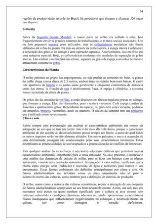 54
regiões de produtividade recorde do Brasil, há produtores que chegam a alcançar 520 sacas
por alqueire.
Colheita
Antes da Segunda Guerra Mundial, a maior parte do milho era colhida à mão. Isso
frequentemente envolvia grandes números de trabalhadores, e eventos sociais associados. Um
ou dois pequenos tratores eram utilizados, mas as colheitadeiras mecânicas não foram
utilizadas até o fim da guerra. Na mão ou através da colheitadeira, a espiga inteira é coletada e
a separação dos grãos e do sabugo é uma operação separada. Anteriormente, isso era feito em
uma máquina especial. Hoje, as colheitadeiras modernas têm unidades de separação de grãos
anexas. Elas cortam o milho próximo à base, separam os grãos da espiga com rolos de metal e
armazenam somente os grãos.
Características da Planta
O milho pertence ao grupo das angiospermas, ou seja produz as sementes no fruto. A planta
do milho chega a uma altura de 2,5 metros, embora haja variedades bem mais baixas. O caule
tem aparência de bambu e as juntas estão geralmente a cinquenta centímetros de distância
umas das outras. A fixação da raiz é relativamente fraca. A espiga é cilíndrica, e costuma
nascer na metade da altura da planta.
Os grãos são do tamanho de ervilhas, e estão dispostos em fileiras regulares presas no sabugo,
que formam a espiga. Eles têm dimensões, peso e textura variáveis. Cada espiga contém de
duzentos a quatrocentos grãos. Dependendo da espécie, os grãos têm cores variadas, podendo
ser amarelos, brancos, vermelhos, azuis ou marrons. O núcleo da semente tem um pericarpo
que é utilizado como revestimento.
Clima e solo
Existe sempre uma preocupação em analisar as características ambientais em termos da
adequação ao uso que se tem em mente. Isto é da mais alta relevância, porque a capacidade
ambiental de dar suporte ao desenvolvimento possui sempre um limite, a partir do qual todos
os outros aspectos serão inevitavelmente afetados. Em outras palavras, o uso e a ocupação de
uma determinada paisagem são condicionados pelas suas características intrínsecas. Estas
determinam as potencialidades de uso/ocupação e a potencialização de conflitos de interesses.
Para qualquer análise do meio-físico, é necessário selecionar critérios que permitam avaliar
características ambientais importantes para o tema enfocado. No caso presente, o interesse é
uma análise das demandas da cultura do milho, para se fazer um balanço com as ofertas
ambientais, visando uma produção sustentável. Ao proceder a essa análise, verifica-se que a
planta capta energia solar (radiação) e necessita de água e nutrientes para manter o seu
crescimento. Esses fatores ambientais são definidos principalmente por clima e solo. Os
fatores edafoclimáticos são referidos como os mais importantes não só para o
desenvolvimento das culturas, como também para a definição de sistemas de produção.
O milho, assim como a maioria das culturas econômicas, requer a interação de um conjunto
de fatores edafoclimáticos apropriados ao seu bom desenvolvimento. Assim, um solo rico em
nutrientes teria pouco ou quase nenhum significado para a cultura se esse mesmo solo
estivesse submetido a condições climáticas adversas ou, ainda, apresentasse características
físicas inadequadas que influenciariam negativamente na condução e desenvolvimento da
cultura, tais como: drenagem e aeração deficientes,
 