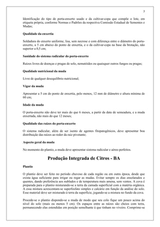 7
Identificação do tipo de porta-enxerto usado e da cultivar-copa que compõe o lote, em
etiqueta própria, conforme Normas e Padrões da respectiva Comissão Estadual de Sementes e
Mudas;
Qualidade da enxertia
Soldadura do enxerto uniforme, lisa, sem necrose e com diferença entre o diâmetro do porta-
enxerto, a 5 cm abaixo do ponto de enxertia, e o da cultivar-copa na base da brotação, não
superior a 0,5 cm;
Sanidade do sistema radicular do porta-enxerto
Raízes livres de doenças e pragas de solo, nematóides ou quaisquer outros fungos ou pragas;
Qualidade nutricional da muda
Livre de qualquer desequilíbrio nutricional;
Vigor da muda
Apresentar a 5 cm do ponto de enxertia, pelo menos, 12 mm de diâmetro e altura mínima de
60 cm;
Idade da muda
O porta-enxerto não deve ter mais do que 6 meses, a partir da data de semeadura, e a muda
enxertada, não mais do que 12 meses;
Qualidade das raízes do porta-enxerto
O sistema radicular, além de ser isento de agentes fitopatogênicos, deve apresentar boa
distribuição das raízes ao redor da raiz pivotante;
Aspecto geral da muda
No momento do plantio, a muda deve apresentar sistema radicular e aéreo perfeitos.
Produção Integrada de Citros - BA
Plantio
O plantio deve ser feito no período chuvoso de cada região ou em outra época, desde que
exista água suficiente para irrigar ou regar as mudas. Evitar sempre os dias ensolarados e
quentes, dando preferência aos nublados e de temperatura mais amena, sem ventos. A cova é
preparada para o plantio misturando-se a terra da camada superficial com a matéria orgânica.
A essa mistura acrescentam-se superfosfato simples e calcário em função da análise do solo.
Esse material deve ser misturado à terra da superfície, jogando-se a mistura no fundo da cova.
Procede-se o plantio dispondo-se a muda de modo que seu colo fique um pouco acima do
nível do solo (mais ou menos 5 cm). Os espaços entre as raízes são cheios com terra,
permanecendo elas estendidas em posição semelhante à que tinham no viveiro. Comprime-se
 