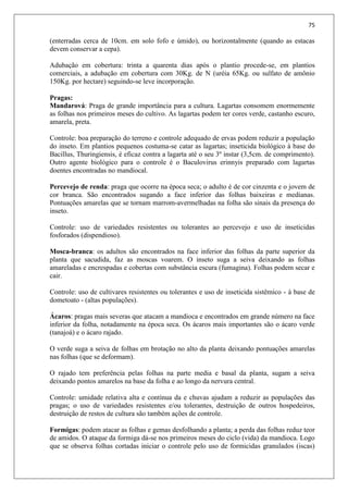 75
(enterradas cerca de 10cm. em solo fofo e úmido), ou horizontalmente (quando as estacas
devem conservar a cepa).
Adubação em cobertura: trinta a quarenta dias após o plantio procede-se, em plantios
comerciais, a adubação em cobertura com 30Kg. de N (uréia 65Kg. ou sulfato de amônio
150Kg. por hectare) seguindo-se leve incorporação.
Pragas:
Mandarová: Praga de grande importância para a cultura. Lagartas consomem enormemente
as folhas nos primeiros meses do cultivo. As lagartas podem ter cores verde, castanho escuro,
amarela, preta.
Controle: boa preparação do terreno e controle adequado de ervas podem reduzir a população
do inseto. Em plantios pequenos costuma-se catar as lagartas; inseticida biológico à base do
Bacillus, Thuringiensis, é eficaz contra a lagarta até o seu 3º instar (3,5cm. de comprimento).
Outro agente biológico para o controle é o Baculovirus erinnyis preparado com lagartas
doentes encontradas no mandiocal.
Percevejo de renda: praga que ocorre na época seca; o adulto é de cor cinzenta e o jovem de
cor branca. São encontrados sugando a face inferior das folhas baixeiras e medianas.
Pontuações amarelas que se tornam marrom-avermelhadas na folha são sinais da presença do
inseto.
Controle: uso de variedades resistentes ou tolerantes ao percevejo e uso de inseticidas
fosforados (dispendioso).
Mosca-branca: os adultos são encontrados na face inferior das folhas da parte superior da
planta que sacudida, faz as moscas voarem. O inseto suga a seiva deixando as folhas
amareladas e encrespadas e cobertas com substância escura (fumagina). Folhas podem secar e
cair.
Controle: uso de cultivares resistentes ou tolerantes e uso de inseticida sistêmico - à base de
dometoato - (altas populações).
Ácaros: pragas mais severas que atacam a mandioca e encontrados em grande número na face
inferior da folha, notadamente na época seca. Os ácaros mais importantes são o ácaro verde
(tanajoá) e o ácaro rajado.
O verde suga a seiva de folhas em brotação no alto da planta deixando pontuações amarelas
nas folhas (que se deformam).
O rajado tem preferência pelas folhas na parte media e basal da planta, sugam a seiva
deixando pontos amarelos na base da folha e ao longo da nervura central.
Controle: umidade relativa alta e contínua da e chuvas ajudam a reduzir as populações das
pragas; o uso de variedades resistentes e/ou tolerantes, destruição de outros hospedeiros,
destruição de restos de cultura são também ações de controle.
Formigas: podem atacar as folhas e gemas desfolhando a planta; a perda das folhas reduz teor
de amidos. O ataque da formiga dá-se nos primeiros meses do ciclo (vida) da mandioca. Logo
que se observa folhas cortadas iniciar o controle pelo uso de formicidas granulados (iscas)
 