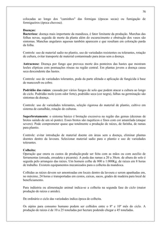 76
colocadas ao longo dos "caminhos" das formigas (épocas secas) ou fumigação de
formigueiros (época chuvosa).
Doenças:
Bacteriose: doença mais importante da mandioca, é fator limitante da produção. Murchas das
folhas novas, seguida de morte da planta além do escurecimento e obstrução dos vasos são
sintomas. Manchas angulares aquosas também aparecem e que resultam em coloração parda
da folha.
Controle: uso de material sadio no plantio, uso de variedades resistentes ou tolerantes, rotação
de cultura, evitar transporte de material contaminado para áreas sem a doença.
Antracnose: Doença por fungo que provoca morte dos ponteiros das hastes que mostram
lesões elípticas com pontuações róseas na região central. Em plantas jovens a doença causa
seca descendente das hastes.
Controle: uso de variedades tolerantes, poda da parte afetada e aplicação de fungicida à base
de mancozeb ou cobre.
Podridão das raízes: causada por vários fungos de solo que podem atacar a cultura ao longo
do ciclo. Podridão mole (com odor forte), podridão seca (cor negra), falhas na germinação são
sintomas da doença.
Controle: uso de variedades tolerantes, seleção rigorosa do material de plantio, cultivo em
sistema de camalhão, rotação de culturas.
Superbrotamento: o sintoma básico é brotação excessiva na região das gemas (dezenas de
brotos saindo de um só ponto). Esses brotos são raquíticos e finos com cor amarelada (ataque
severo). Pode comprometer quase que totalmente a produção de raízes, de farinha, de ramas
para plantio.
Controle: evitar introdução de material doente em áreas sem a doença, eliminar plantas
doentes dentro da lavoura. Selecionar material sadio para o plantio e uso de variedades
tolerantes.
Colheita:
Operação que onera os custos de produção;pode ser feita com as mãos ou com auxílio de
ferramentas (enxada, enxadeta e picareta). A poda das ramas a 20 a 30cm. de altura do solo é
seguida pelo arranquio das raízes. Um homem colhe de 800 a 1.000Kg. de raízes em 8 horas
de trabalho. Existem equipamentos mecanizados para a colheita da mandioca.
Colhidas as raízes devem ser amontoadas em locais dentro da lavoura e serem apanhadas em,
no máximo, 24 horas e transportadas em cestos, caixas, sacos, grades de madeira para local de
beneficiamento.
Para indústria ou alimentação animal indica-se a colheita na segunda fase do ciclo (maior
produção de raízes e amido).
De ordinário o ciclo das variedades indica época de colheita.
Os aipins para consumo humano podem ser colhidos entre o 8º e 10º mês do ciclo. A
produção de raízes é de 10 a 25 toneladas por hectare podendo chegar a 45 toneladas.
 