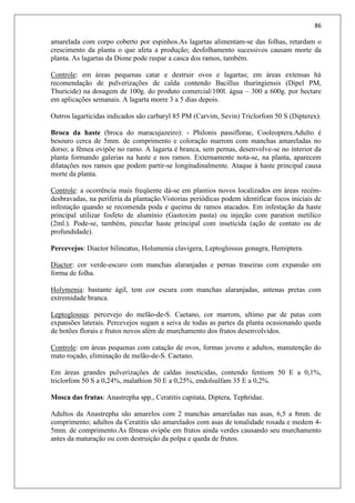 86
amarelada com corpo coberto por espinhos.As lagartas alimentam-se das folhas, retardam o
crescimento da planta o que afeta a produção; desfolhamento sucessivos causam morte da
planta. As lagartas da Dione pode raspar a casca dos ramos, também.
Controle: em áreas pequenas catar e destruir ovos e lagartas; em áreas extensas há
recomendação de pulverizações de calda contendo Bacillus thuringiensis (Dipel PM,
Thuricide) na dosagem de 100g. do produto comercial/100l. água – 300 a 600g. por hectare
em aplicações semanais. A lagarta morre 3 a 5 dias depois.
Outros lagarticidas indicados são carbaryl 85 PM (Carvim, Sevin) Triclorfom 50 S (Dipterex).
Broca da haste (broca do maracujazeiro): - Philonis passiflorae, Cooleoptera.Adulto é
besouro cerca de 5mm. de comprimento e coloração marrom com manchas amareladas no
dorso; a fêmea ovipõe no ramo. A lagarta é branca, sem pernas, desenvolve-se no interior da
planta formando galerias na haste e nos ramos. Externamente nota-se, na planta, aparecem
dilatações nos ramos que podem partir-se longitudinalmente. Ataque à haste principal causa
morte da planta.
Controle: a ocorrência mais freqüente dá-se em plantios novos localizados em áreas recém-
desbravadas, na periferia da plantação.Vistorias periódicas podem identificar focos iniciais de
infestação quando se recomenda poda e queima de ramos atacados. Em infestação da haste
principal utilizar fosfeto de alumínio (Gastoxim pasta) ou injeção com paration metílico
(2ml.). Pode-se, também, pincelar haste principal com inseticida (ação de contato ou de
profundidade).
Percevejos: Diactor bilineatus, Holumenia clavigera, Leptoglossus gonagra, Hemiptera.
Diactor: cor verde-escuro com manchas alaranjadas e pernas traseiras com expansão em
forma de folha.
Holymenia: bastante ágil, tem cor escura com manchas alaranjadas, antenas pretas com
extremidade branca.
Leptoglossus: percevejo do melão-de-S. Caetano, cor marrom, ultimo par de patas com
expansões laterais. Percevejos sugam a seiva de todas as partes da planta ocasionando queda
de botões florais e frutos novos além de murchamento dos frutos desenvolvidos.
Controle: em áreas pequenas com catação de ovos, formas jovens e adultos, manutenção do
mato roçado, eliminação de melão-de-S. Caetano.
Em áreas grandes pulverizações de caldas inseticidas, contendo fentiom 50 E a 0,1%,
triclorfom 50 S a 0,24%, malathion 50 E a 0,25%, endolsulfam 35 E a 0,2%.
Mosca das frutas: Anastrepha spp., Ceratitis capitata, Diptera, Tephridae.
Adultos da Anastrepha são amarelos com 2 manchas amareladas nas asas, 6,5 a 8mm. de
comprimento; adultos da Ceratitis são amarelados com asas de tonalidade rosada e medem 4-
5mm. de comprimento.As fêmeas ovipõe em frutos ainda verdes causando seu murchamento
antes da maturação ou com destruição da polpa e queda de frutos.
 