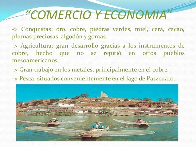 Cuales Son Los Aspectos Economicos De Los Purepechas