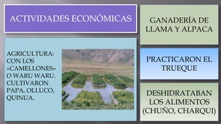 ACTIVIDADES ECONÓMICAS
AGRICULTURA:
CON LOS
«CAMELLONES»
O WARU WARU.
CULTIVARON
PAPA, OLLUCO,
QUINUA.
GANADERÍA DE
LLAMA Y ALPACA
PRACTICARON EL
TRUEQUE
DESHIDRATABAN
LOS ALIMENTOS
(CHUÑO, CHARQUI)
 