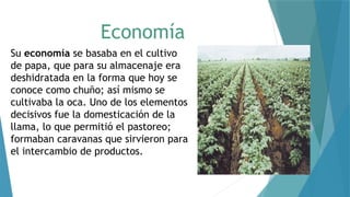 Economía
Su economía se basaba en el cultivo
de papa, que para su almacenaje era
deshidratada en la forma que hoy se
conoce como chuño; así mismo se
cultivaba la oca. Uno de los elementos
decisivos fue la domesticación de la
llama, lo que permitió el pastoreo;
formaban caravanas que sirvieron para
el intercambio de productos.
 