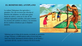 EL DOMINIO DELANTIPLANO
La cultura Tiahuanaco fue agricultor y
ganadero. Por ello tuvieron que efectuar el
dominio del altiplano, no tanto para ganar
tierras de cultivo, como en el caso de las
culturas regionales costeñas, sino para conocer
los secretos del sembrío en altura y los secretos
de los cambios climáticos que el altiplano
encierra.
Sabemos que el clima de la meseta, en donde se encuentra
el lago Titicaca, a 4,000 metros sobre el nivel del mar,
tiene una fuerte alternancia térmica diaria, al sol fuerte y
quemante del día, sucede el intenso frío de la noche.
 