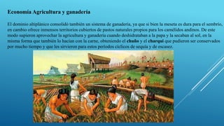 Economía Agricultura y ganadería
El dominio altiplánico consolidó también un sistema de ganadería, ya que si bien la meseta es dura para el sembrío,
en cambio ofrece inmensos territorios cubiertos de pastos naturales propios para los camélidos andinos. De este
modo supieron aprovechar la agricultura y ganadería cuando deshidrataban a la papa y la secaban al sol, en la
misma forma que también lo hacían con la carne, obteniendo el chuño y el charqui que pudieron ser conservados
por mucho tiempo y que les sirvieron para estos períodos cíclicos de sequía y de escasez.
 