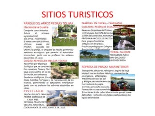 SITIOS TURISTICOS
 