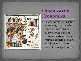 La economía se basaba en una agricultura de extensos campos de cultivo irrigados por complejos sistemas de canales, donde el maíz, el frijol y el amaranto eran el principal cultivo. Organización Económica 