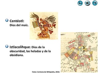 Centéotl:
Dios del maíz.




Iztlacolihque: Dios de la
obscuridad, las heladas y de la
obsidiana.




                 Fotos: Cortesía de Wikipedia, 2010.
 
