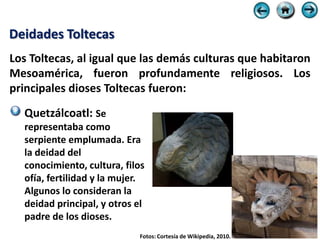 Deidades Toltecas
Los Toltecas, al igual que las demás culturas que habitaron
Mesoamérica, fueron profundamente religiosos. Los
principales dioses Toltecas fueron:
  Quetzálcoatl: Se
  representaba como
  serpiente emplumada. Era
  la deidad del
  conocimiento, cultura, filos
  ofía, fertilidad y la mujer.
  Algunos lo consideran la
  deidad principal, y otros el
  padre de los dioses.
                            Fotos: Cortesía de Wikipedia, 2010.
 
