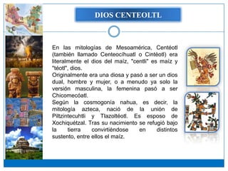 DIOS CENTEOLTL



En las mitologías de Mesoamérica, Centéotl
(también llamado Centeocíhuatl o Cintéotl) era
literalmente el dios del maíz, "centli" es maíz y
"téotl", dios.
Originalmente era una diosa y pasó a ser un dios
dual, hombre y mujer, o a menudo ya solo la
versión masculina, la femenina pasó a ser
Chicomecóatl.
Según la cosmogonía nahua, es decir, la
mitología azteca, nació de la unión de
Piltzintecuhtli y Tlazoltéotl. Es esposo de
Xochiquétzal. Tras su nacimiento se refugió bajo
la     tierra   convirtiéndose    en      distintos
sustento, entre ellos el maíz.
 
