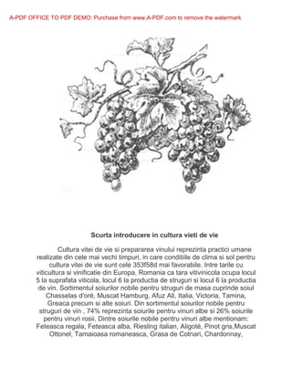 A-PDF OFFICE TO PDF DEMO: Purchase from www.A-PDF.com to remove the watermark




                            Scurta introducere in cultura vieti de vie

                 Cultura vitei de vie si prepararea vinului reprezinta practici umane
        realizate din cele mai vechi timpuri, in care conditiile de clima si sol pentru
             cultura vitei de vie sunt cele 353f58d mai favorabile. Intre tarile cu
        viticultura si vinificatie din Europa, Romania ca tara vitivinicola ocupa locul
        5 la suprafata viticola, locul 6 la productia de struguri si locul 6 la productia
         de vin. Sortimentul soiurilor nobile pentru struguri de masa cuprinde soiul
            Chasselas d'oré, Muscat Hamburg, Afuz Ali, Italia, Victoria, Tamina,
             Greaca precum si alte soiuri. Din sortimentul soiurilor nobile pentru
         struguri de vin , 74% reprezinta soiurile pentru vinuri albe si 26% soiurile
           pentru vinuri rosii. Dintre soiurile nobile pentru vinuri albe mentionam:
        Feteasca regala, Feteasca alba, Riesling italian, Aligoté, Pinot gris,Muscat
             Ottonel, Tamaioasa romaneasca, Grasa de Cotnari, Chardonnay,
 