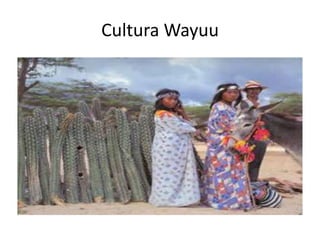 Cultura Wayuu 