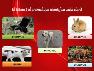 El tótem ( el animal que identifica cada clan)
URIANA
EPINAYUU URALIYUU
URALIYUU
JAYALIYUU
 