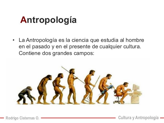 Resultado de imagen para la antropologia