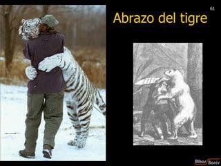 Abrazo del tigre 61 