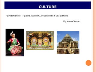 CULTURE

Fig: Odishi Dance   Fig: Lord Jagannath,Lord Balabhadra & Devi Subhadra

                                                                 Fig: Konark Temple
 