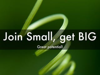 Culture at BazingaLabs