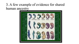 3. A few example of evidence for shared
human ancestry
 